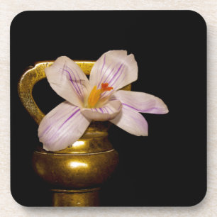 Frühlingsblumen Untersetzer