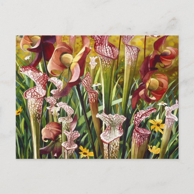 "Frühlingsblumen" Wasserfarbenkunst Postkarte (Vorderseite)