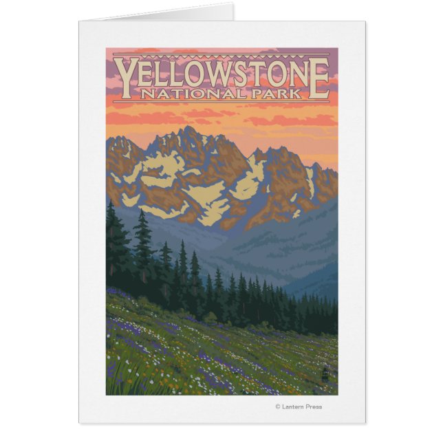 Frühlingsblumen - Yellowstone Nationalpark (Vorne)