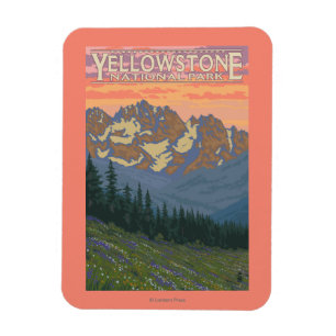 Frühlingsblumen - Yellowstone Nationalpark Magnet