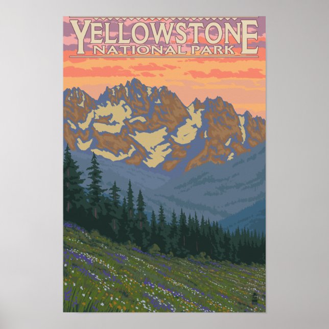 Frühlingsblumen - Yellowstone Nationalpark Poster (Vorne)
