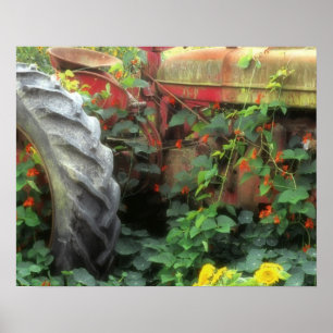 Frühlingsblumen zieren einen alten Traktor. Poster