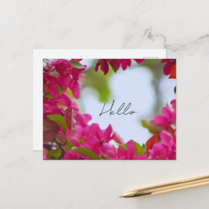 Frühlingsblumenfotografie Postkarte