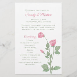 Frühlingsblumengarten Rosa Blumenzwiebelprogramm