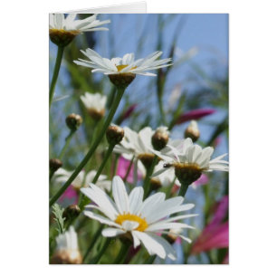 Frühlingsblumenkarte