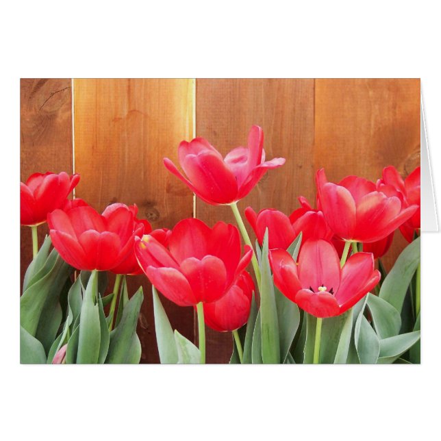 Frühlingsblüte (Vorderseite (Horizontal))