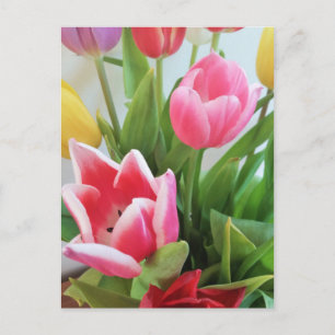 Frühlingsblüte Blume Bouquet Tulips, Flora, Natur Postkarte
