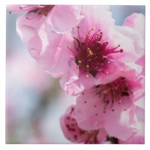 Frühlingsblüte Fliese