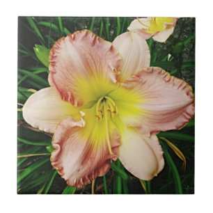 Frühlingsblüte Fliese