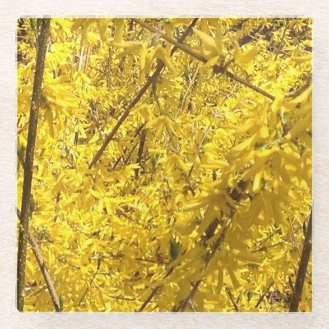 Frühlingsblüte Glasuntersetzer (Vorderseite)