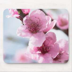Frühlingsblüte Mousepad