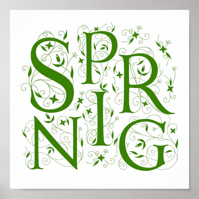 Frühlingsblüte Poster (Vorne)