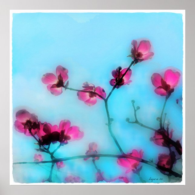 Frühlingsblüte, Poster (Vorne)