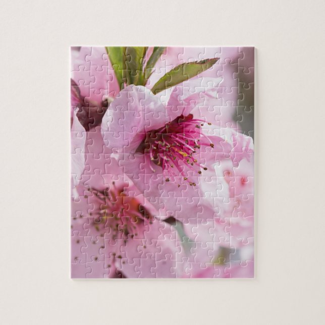 Frühlingsblüte Puzzle (Vertikal)