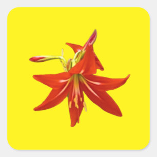 Frühlingsblüte Quadratischer Aufkleber