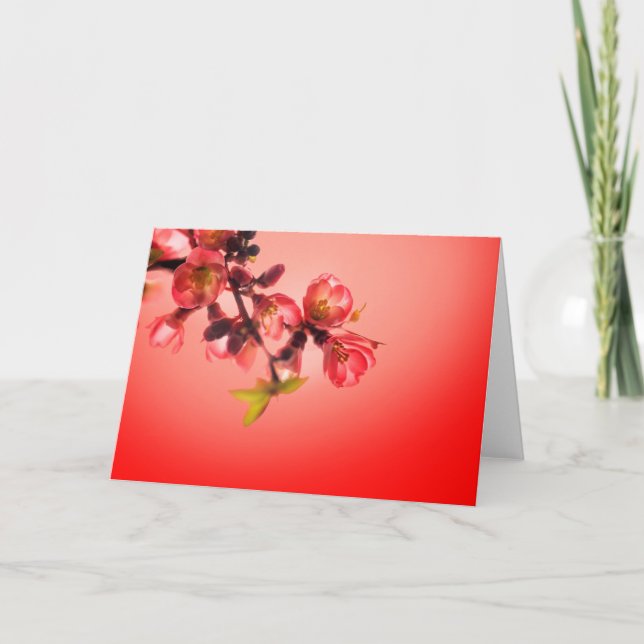 Frühlingsblüte über rotem Hintergrund Feiertagskarte (Vorderseite)