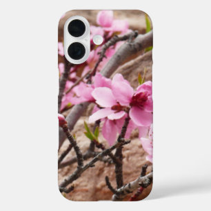 Frühlingsblüten auf Zion-Felsen iPhone 16 Hülle