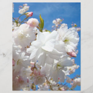 Frühlingsblüten Flyer Papier Blauer Himmel Blumen