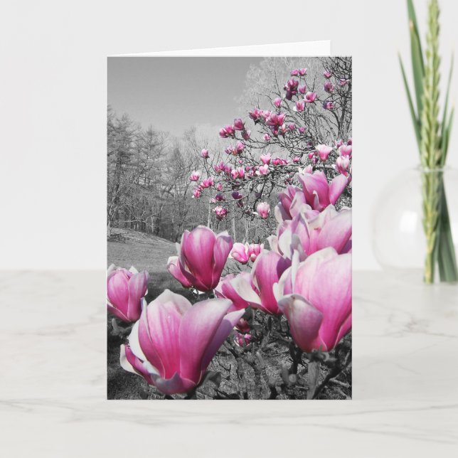 Frühlingsblüten Karte (Vorderseite)