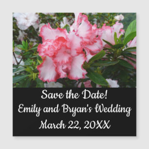 Frühlingsblüten mit doppeltem Rot und weißem Azale Magnetkarte