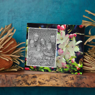 Frühlingsblüten schaffen Ihr eigenes Foto Fotoplatte