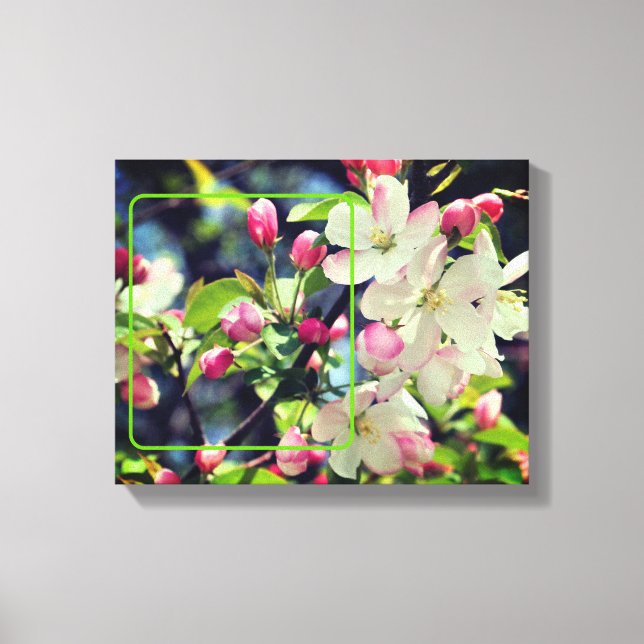 Frühlingsblüten schaffen Ihr eigenes Foto Leinwanddruck (Vorderseite)