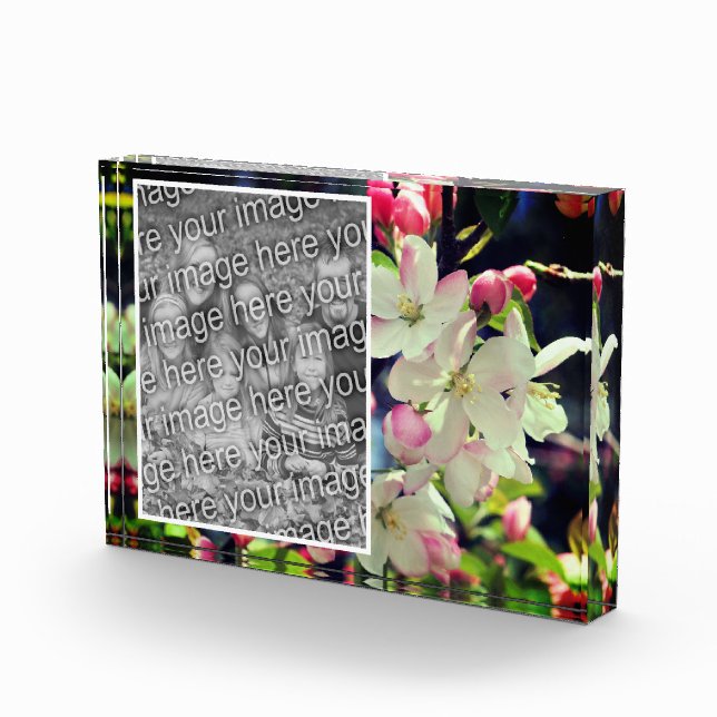Frühlingsblüten schaffen Ihre eigene Fotoblock (Rechts)
