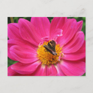 Frühlingsblutkarte Postkarte