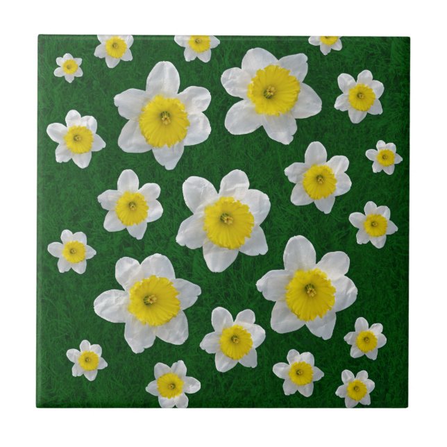 Frühlingsdaffodien Fliese (Vorderseite)
