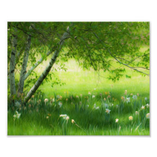 Frühlingsdaffodien Fotodruck