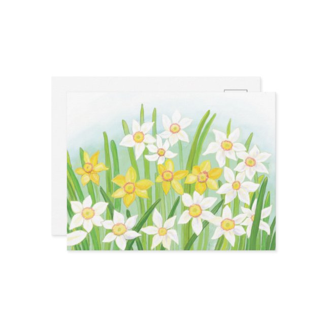 Frühlingsdaffodien Postkarte (Vorderseite/Rückseite Beispiel)