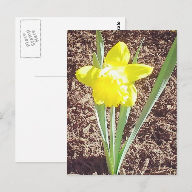 Frühlingsdialbild Postkarte (Vorne/Hinten)