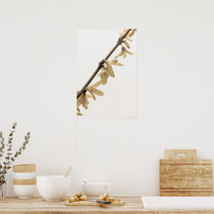 Frühlingsduschen auf Forsythia Blume Poster