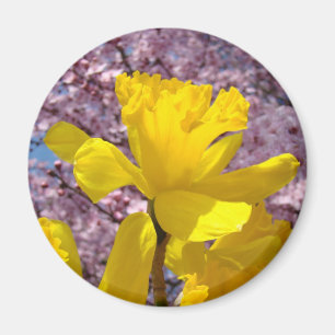 Frühlingsdüster Magnet spendet rosa Blüten