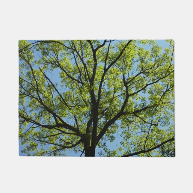 Frühlingseiche Baum Lebendige Natur Fußmatte (Vorderseite)