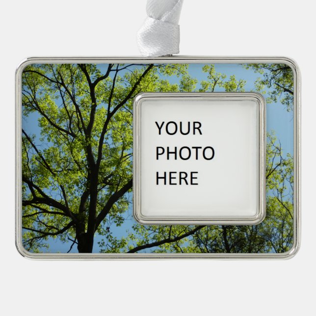 Frühlingseichenbaum Lebendige Natur Rahmen-Ornament Silber (Vorderseite)