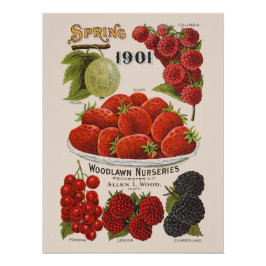 Frühlingserreger Poster