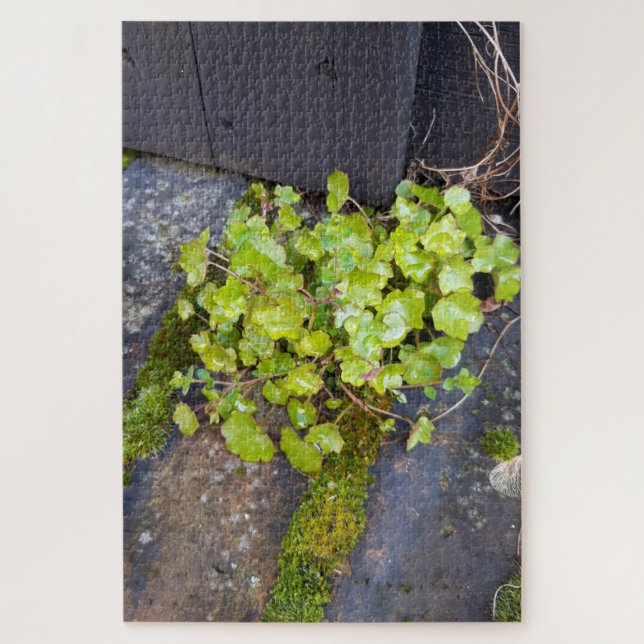 Frühlingserwachen, kleine Blume mit Regentropfen Puzzle (Vertikal)