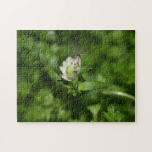 Frühlingserwachen, nur ein wenig Blüte Puzzle