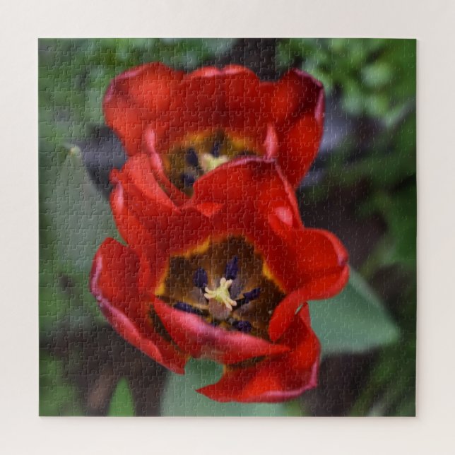 Frühlingserwachen, Tulips Puzzle (Vertikal)