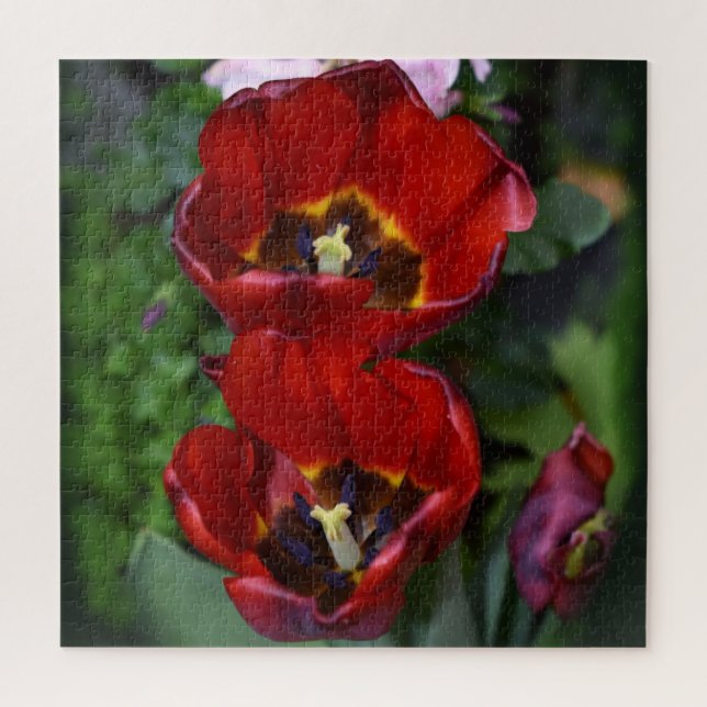 Frühlingserwachen, Tulips Puzzle (Vertikal)