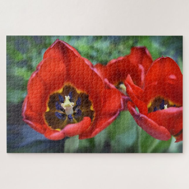Frühlingserwachen, Tulips Puzzle (Horizontal)