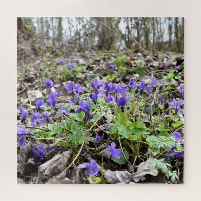 Frühlingserwachen , Waldbrände , Blume , März Veil Puzzle (Horizontal)