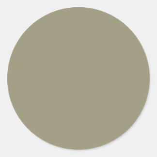 Frühlingsfarbe Grün Runder Aufkleber