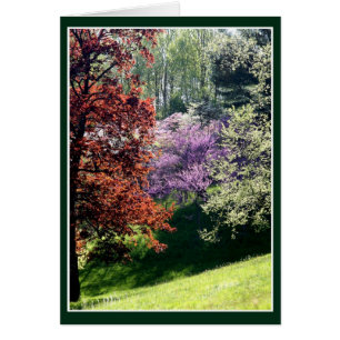 Frühlingsfarben