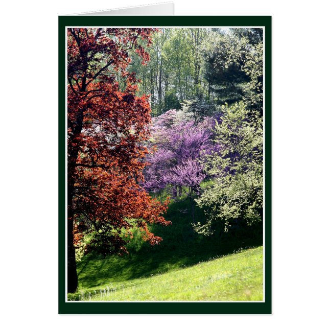 Frühlingsfarben (Vorne)