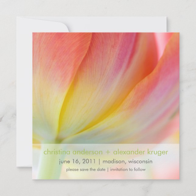 Frühlingsfarben ・ Ankündigung Datum freihalten (Vorderseite)