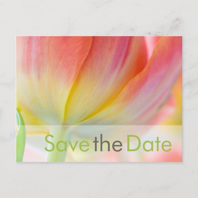 Frühlingsfarben ・ Save the Date Postkarte (Vorderseite)