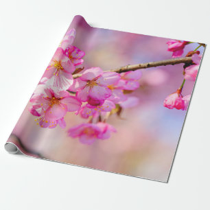 Frühlingsfest Rosa Sakura Blüten Geschenkpapier