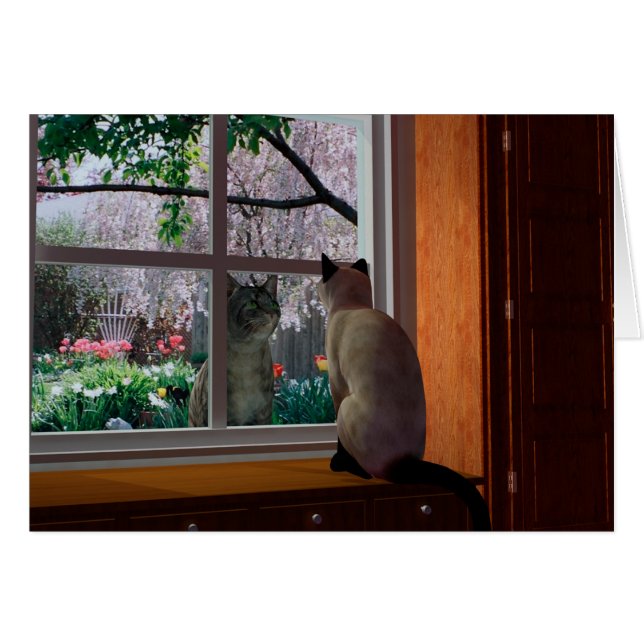 Frühlingsfieber (Vorderseite (Horizontal))